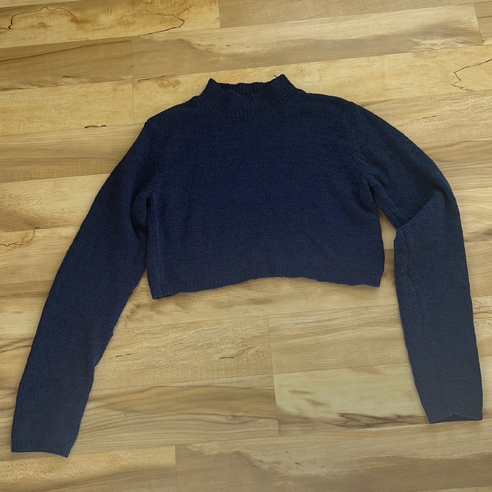 Wild Fable cropped sweater